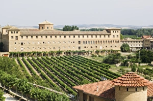 Images Dated 8th January 2000: Vineyard and monastery