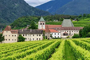 Viniculture Prints: Vineyard around Neustift convent