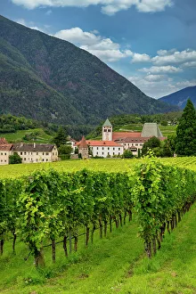 Vineyard around Neustift convent, in summer. Neustift Convent, Brixen, South Tyrol, Italy, Europe