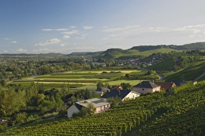 Luxembourg Prints: Vineyards on the banks of the Moselle river
