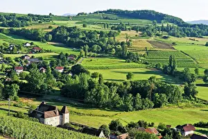 Pastoral Prints: Vineyards of Jongieux, Savoie department, Rhone-Alpes region, France, Europe