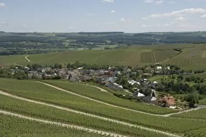 Images Dated 30th May 2009: Vineyards in the Moselle Valley, Luxembourg, Europe