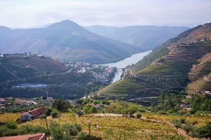 Irrigation Prints: Vineyards and river in Douro Valley showcase agriculture and landscape in Portugal during daytime