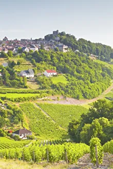 Centre Prints: The vineyards of Sancerre in the Loire Valley, Cher, Centre, France, Europe