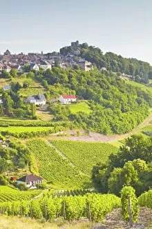 French Culture Gallery: The vineyards of Sancerre in the Loire Valley, Cher, Centre, France, Europe