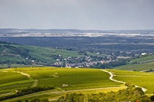 Vine Yard Prints: The vineyards of Sancerre under a passing storm at the end of summer