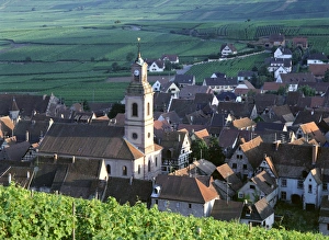 Riquewihr Prints: Vineyards and skyline of the town, Riquewihr, Haut-Rhin, Alsace, France, Europe