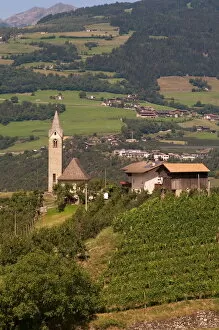 Dolomites Gallery: Vineyards, Tiso, Funes Valley (Villnoss), Dolomites, Trentino Alto Adige