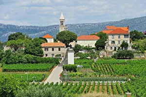 Korcula Prints: Vineyards and village of Lumbarda, Korcula island, Croatia, Southeast Europe