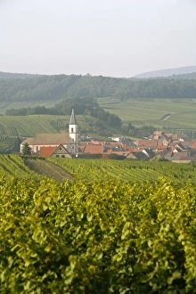 Wine Route Prints: Vineyards and villages along the Wine Route, Alsace, France, Europe