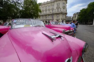 Taxi Prints: Vintage cars as taxis lined up awaiting fares, Havana, Cuba, West Indies, Central America