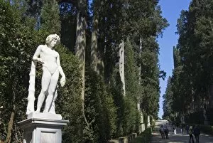 Images Dated 30th March 2008: Viottolone, Viottolone Avenue, Boboli Gardens, Florence, Tuscany, Italy, Europe
