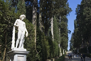 Images Dated 30th March 2008: Viottolone, Viottolone Avenue, Boboli Gardens, Florence, Tuscany, Italy, Europe