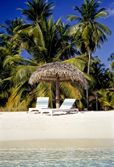 Images Dated 27th November 2009: Virgin Beach and sunshades, Bangaram, Lakshadweep Islands, India, Indian Ocean, Asia