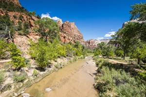 Virgin River Prints: Virgin River flowing through the Zion National Park