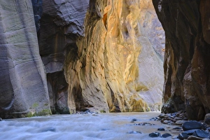 Virgin River Prints: Virgin River Narrows, Zion National Park, Utah, United States of America, North America