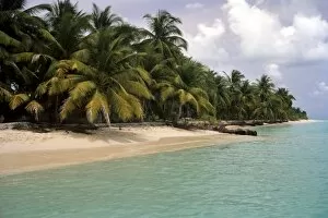 Virgin shore of Kalpeni, Lakshadweep Islands, India, Indian Ocean, Asia