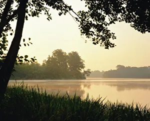 Generic Location Prints: Virginia Water, Surrey, England