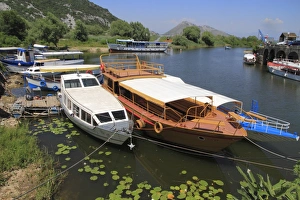 Virpazar, Skadar Lake, Montenegro, Europe