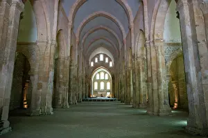 Columns Prints: Visit the Abbey of Fontenay to explore its historic architecture