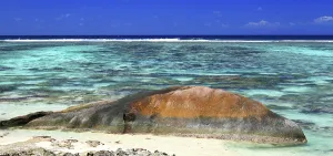 Spot Prints: Visit to the beach with clear water