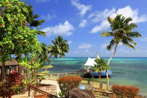 Azure Prints: Visit to Coco de Mer resort with clear waters and palm trees on Praslin Island in Seychelles
