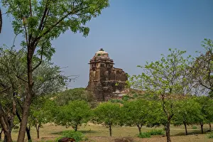 Plants Prints: Visit to Rohtas Fort shows ancient architecture surrounded by trees in Punjab, Pakistan