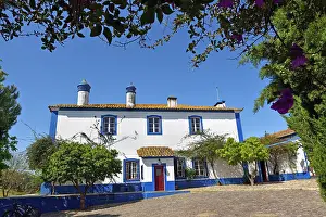 Alentejo Prints: Visit to Vale do Manantio Estate in Moura