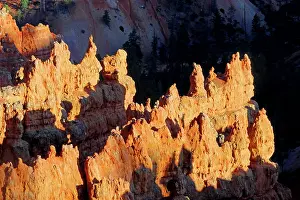 West Prints: Visiting the unique rock formations in Bryce Canyon National Park during sunrise hours in Utah