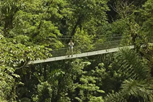 Alajuela Province Prints: Visitor at Arenal Hanging Bridges where rainforest canopy is accessed via walkways