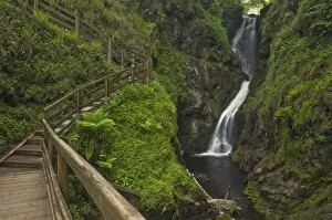 Images Dated 23rd May 2008: Visitor walkway and steps, Ess-na-Larach waterfall, Glenariff Country Park near Waterfoot