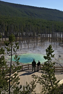 Standing Water Prints: Visitors at Cistern Spring, Norris Geyser Basin