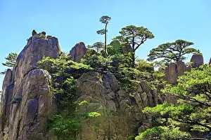 Gain Prints: Visitors enjoy the natural beauty of Huangshan with its unique rock formations and lush greenery in Anhui Province
