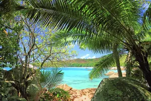 Getaway Prints: Visitors enjoy the view of crystal clear water framed by palm trees on Anse Georgette