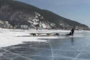 Pulling Prints: Visitors enjoying dog sledding on the ice in front of the village of Listvyanka