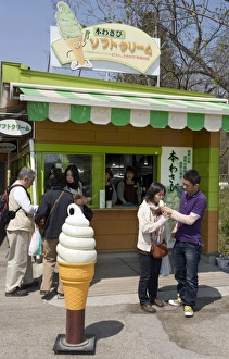 Images Dated 30th April 2009: Visitors enjoying wasabi (Japanese horseradish) ice cream at the Daio Wasabi Farm in Hotaka