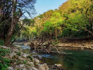 Waterfalls Prints: Visitors walk along Cahabon River surrounded by trees and rocks in Semuc Champey during daylight in Guatemala