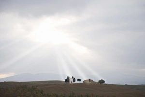 Images Dated 17th November 2007: Vitaleta Chapel, near Pienza, Val D Orcia, Tuscany, Italy, Europe