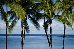 Shore Line Prints: Viti Levu, Fiji, Melanesia, Oceania, Pacific Islands, Pacific