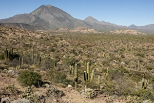 Baja California Prints: Volcan las Tres Virgenes, Santa Rosalia, Baja California, Mexico, North America