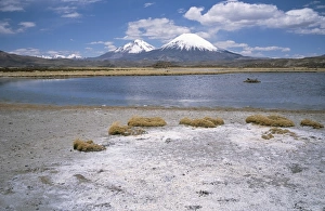 Volcan Parinacota (6330m) on right, Volcan Pomerape (6240m) on left, volcanoes in the Lauca National Park, Andes mountains, Chile