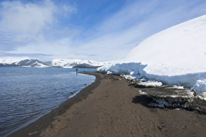 Images Dated 2nd December 2008: Volcanic beach in front of the glacier ice of Deception Island, South Shetland Islands