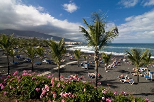 Images Dated 4th January 2009: The volcanic beach of Puerto Cruz, Tenerife, Canary Islands, Spain, Atlantic, Europe