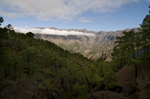Images Dated 5th January 2009: Volcanic crater of Taburiente, La Palma, Canary Islands, Spain, Europe