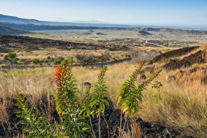 Volcanic landscape of the Masaya caldera, Nicaraguas first national park, with craters and a a blocky lava, Masaya, Nicaragua, Central America