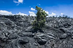 Big Island Prints: Volcanic lava stream in the Hawaii Volcanoes National Park