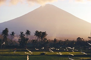 Volcanic Mount Gunung Batur