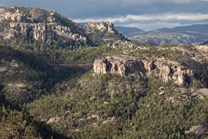 Chihuahua Prints: Volcanic plateau of Sierra Tarahumara, above Copper Canyon, Chihuahua, Mexico, North