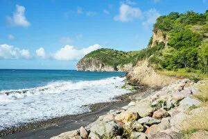 Vegetation Collection: Volcanic sand beach, Montserrat, British Overseas Territory, West Indies, Caribbean