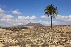 Images Dated 31st December 2011: Volcano Caldera de Gairia, near Tuineje, Fuerteventura, Canary Islands, Spain, Atlantic, Europe
